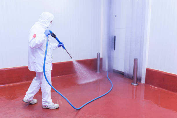 Best Heavy Equipment Washing  in Braddock, PA